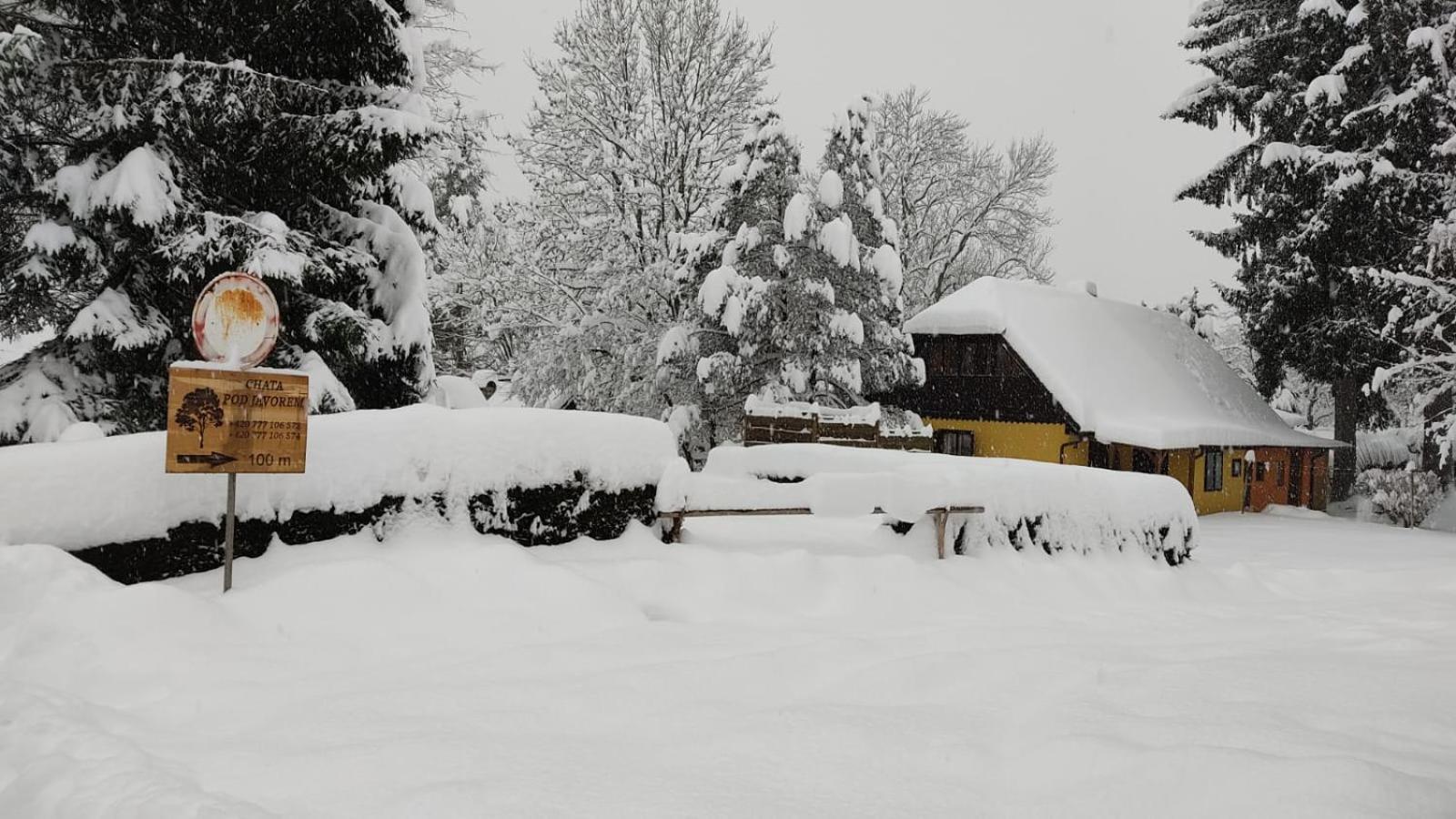 Chata Pod Javorem Frymburk Exterior foto