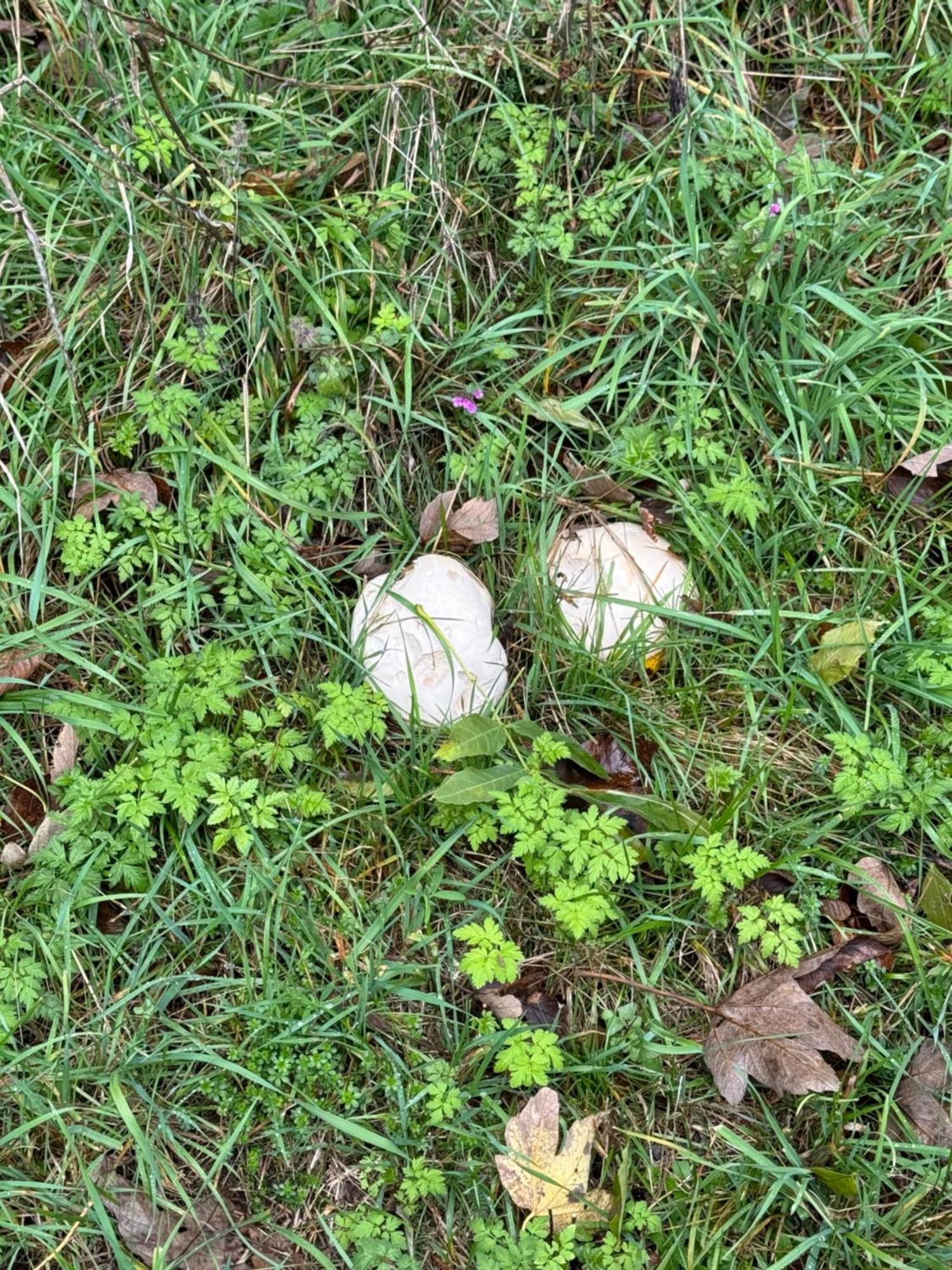 Chata Pod Javorem Frymburk Exterior foto